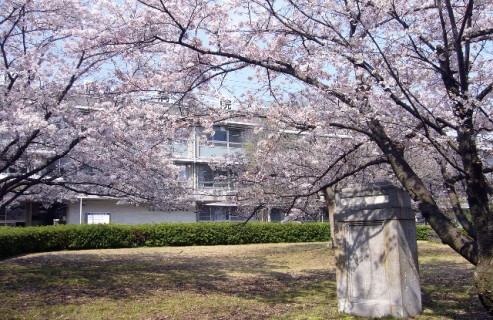 大阪市立弘済院附属病院